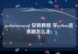 pycharm(mysql 安装教程 学python这条路怎么走)