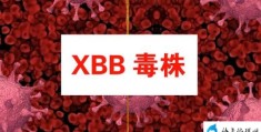 钟南山:能覆盖xbb的疫苗很快面世