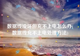 数据线没坏但充不上电怎么办(数据线充不上电处理方法)