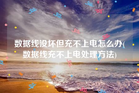 数据线没坏但充不上电怎么办(数据线充不上电处理方法)