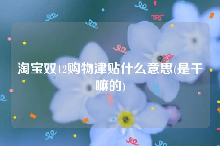 淘宝双12购物津贴什么意思(是干嘛的)