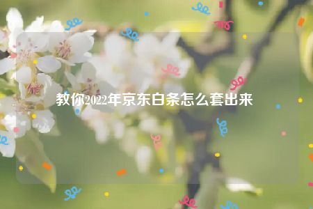 教你2022年京东白条怎么套出来 